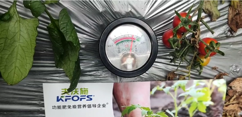 微生物菌劑，為什么被越來(lái)越多的人選擇？