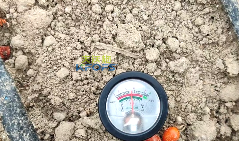 微生物菌劑-未用沃葉前測(cè)土5.6.png