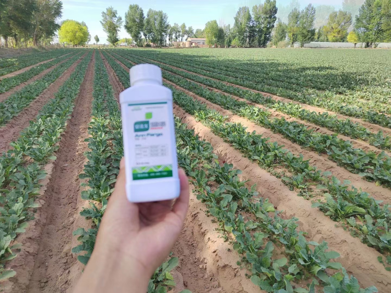除草劑藥害怎么辦？安法戈來(lái)解決！
