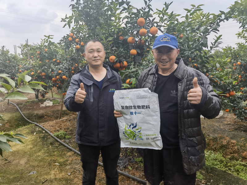 柑橘樹(shù)用什么肥料最佳？四川何大爺案例
