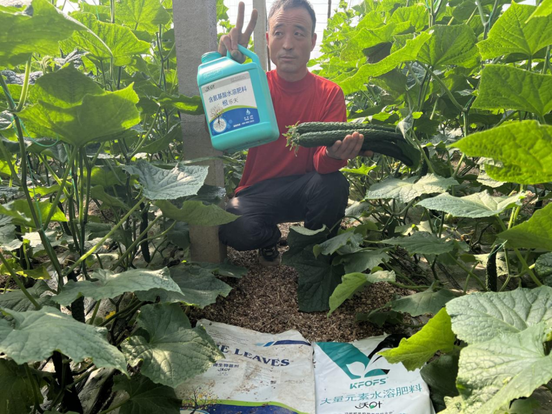 種植蔬菜用什么肥料最好？?jī)蓚€(gè)解決，兩個(gè)方案