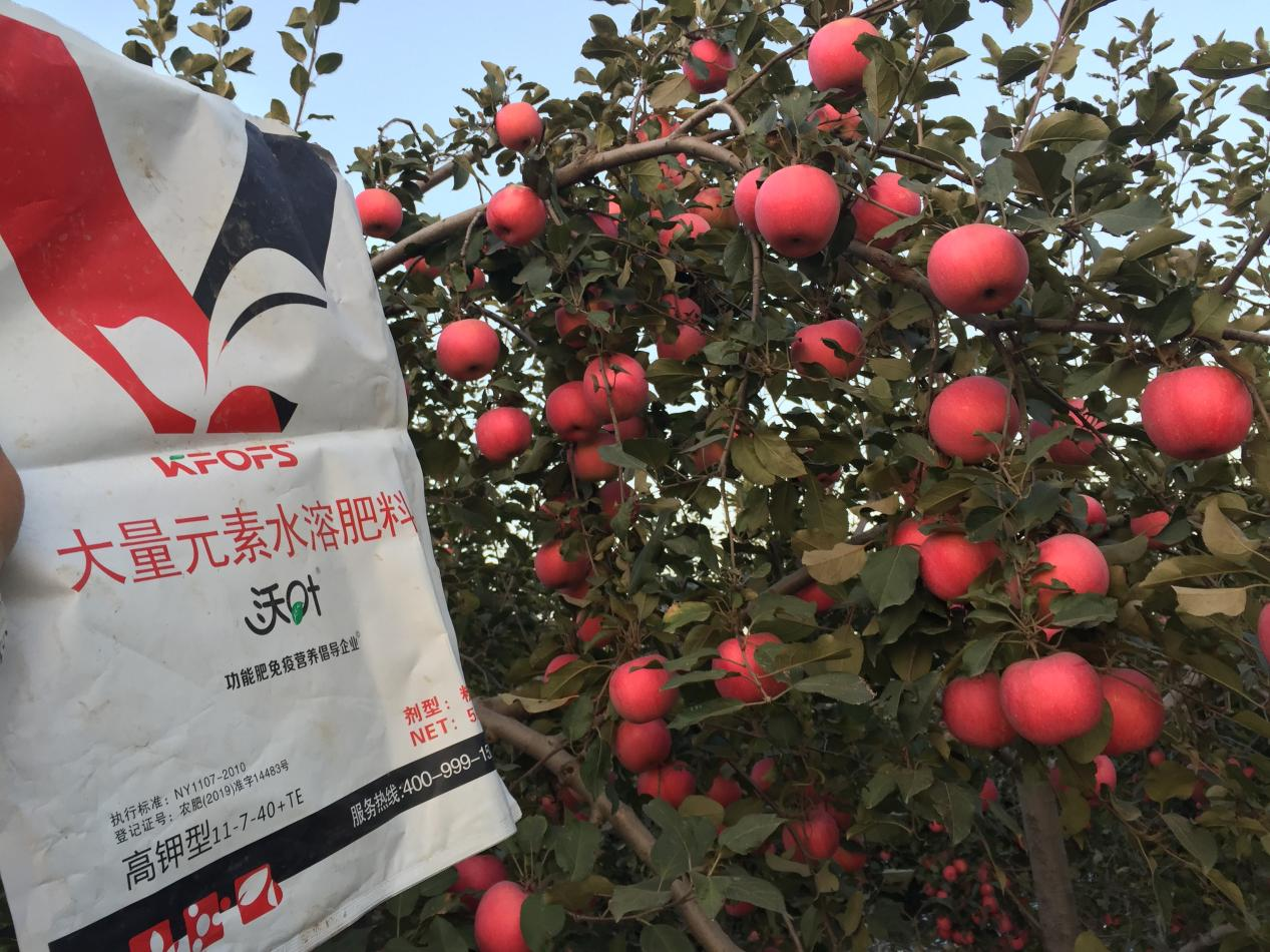 水溶肥哪家好？李大哥告訴你