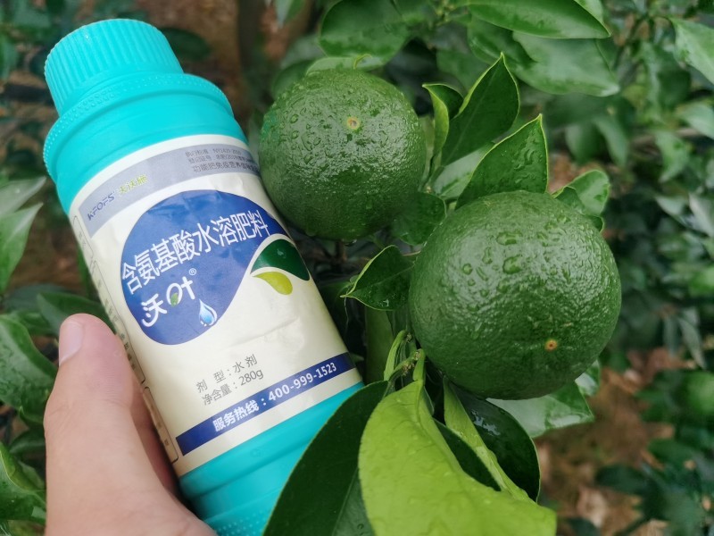 解密植物對氨基酸的吸收原理，夫沃施掌握氨基酸水溶肥核心科技