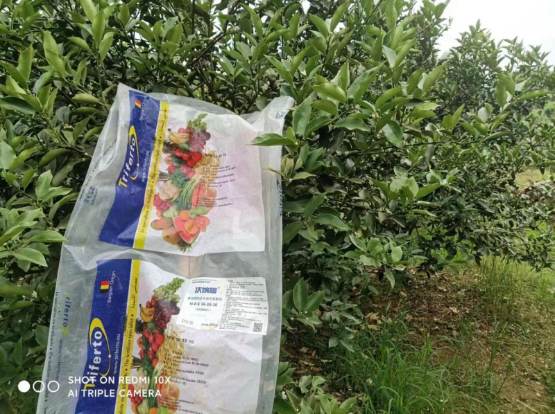 水溶肥效果好不好？榮大姐告訴你