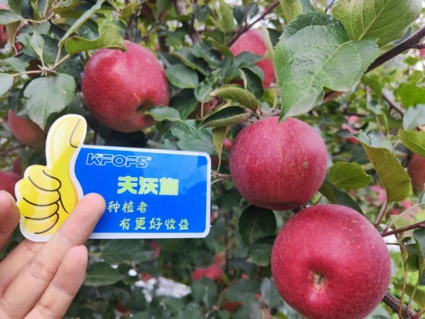 微生物菌劑，作物增產(chǎn)的“敲門磚”