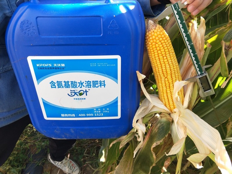 玉米施肥用什么肥料好-玉米用沃葉無(wú)突尖.jpg