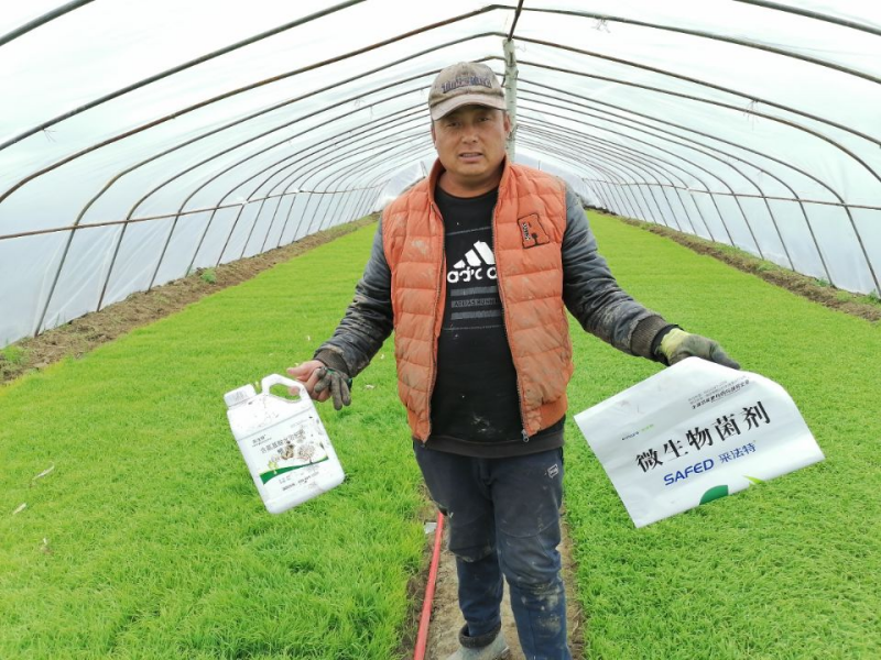 微生物菌劑-采法特微生物菌劑用戶見證.png