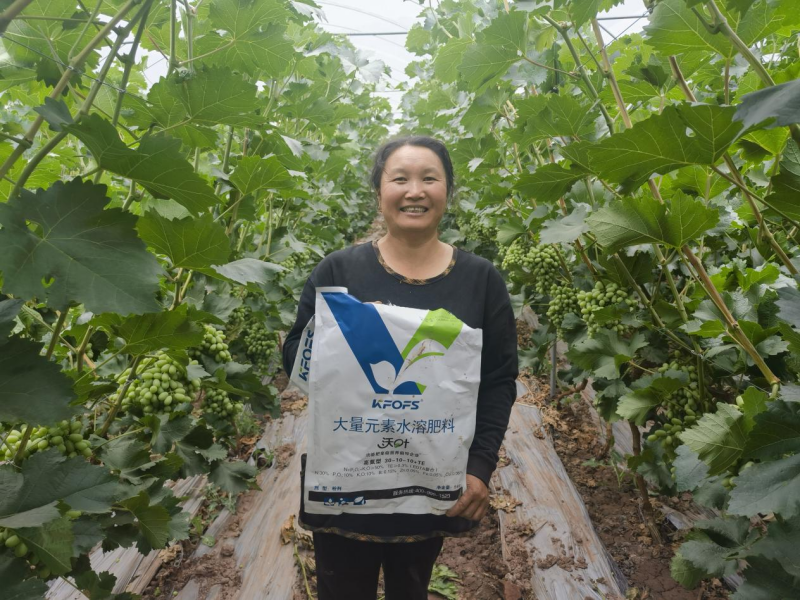 怎么讓土壤變得肥沃-沃葉水溶肥用戶見(jiàn)證.png
