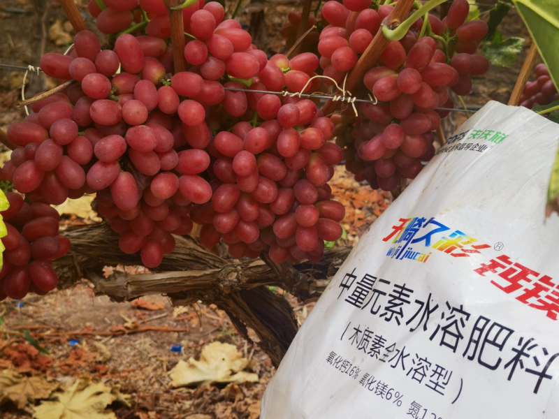 怎么讓土壤變得肥沃-克倫生用無(wú)畸久彩鈣鎂轉(zhuǎn)色好.png