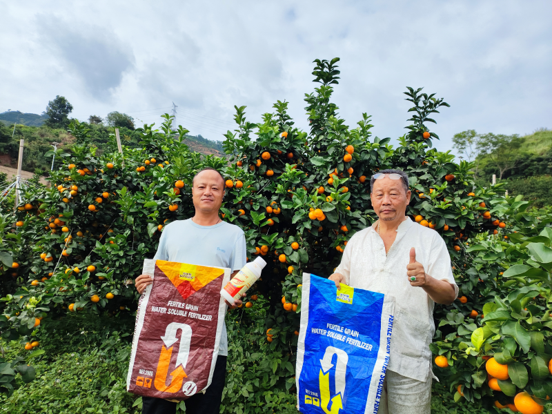 土壤板結到底能不能解決？