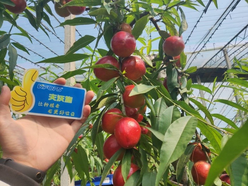 微生物菌劑的作用，你真的了解嗎？