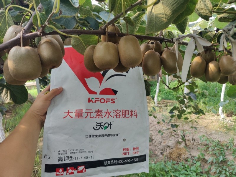 獼猴桃施肥用什么肥料？