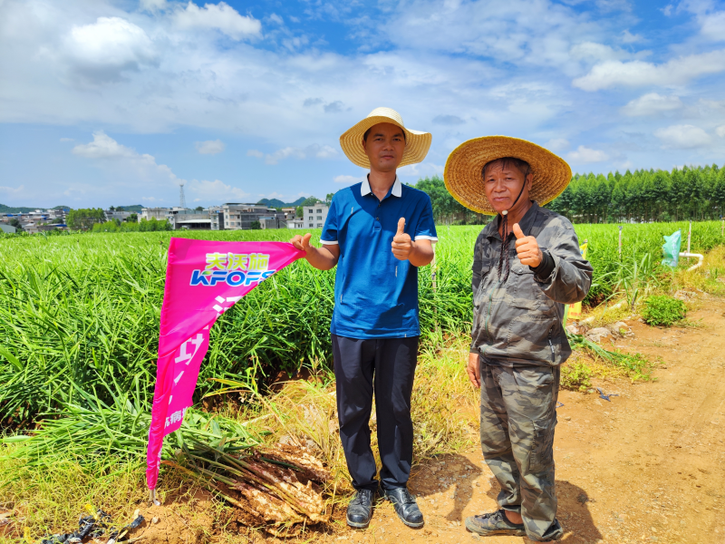 生根劑不能錯過的3個時期，你知道嗎？