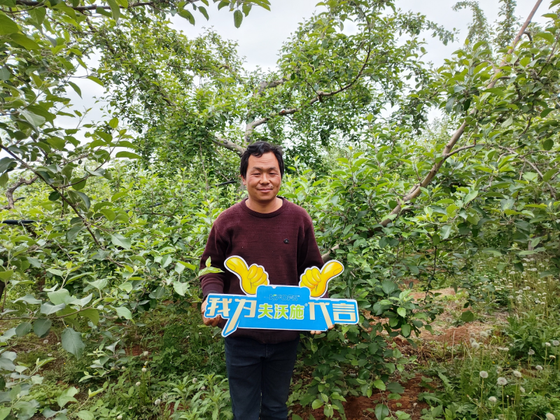 大量元素水溶肥怎么用效果好？