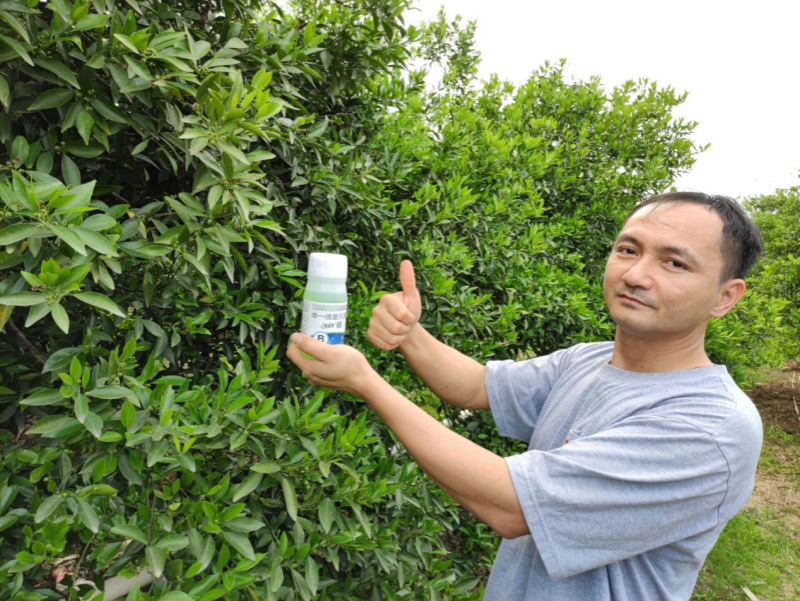 柑橘用什么肥料好？