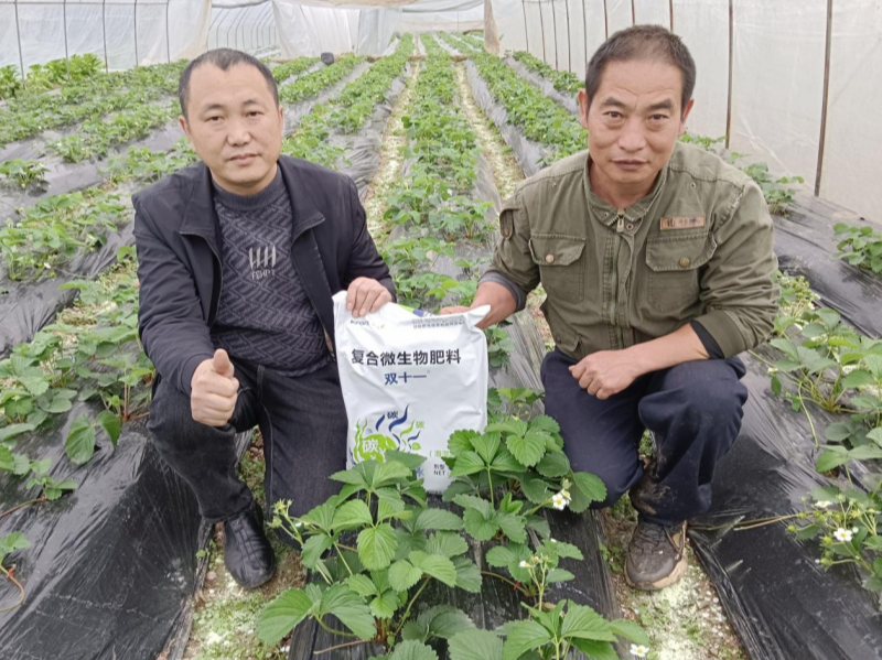 土壤板結(jié)的原因及解決辦法，總結(jié)6點
