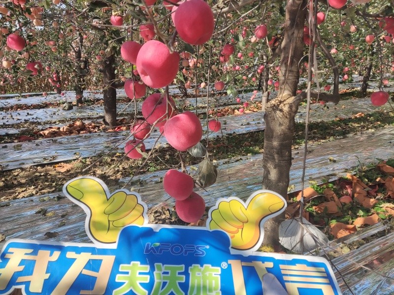 葉面肥你會用嗎？