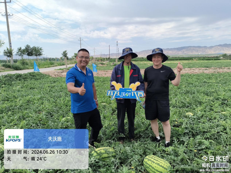 西瓜藥害怎么辦？水溶肥調(diào)理解決