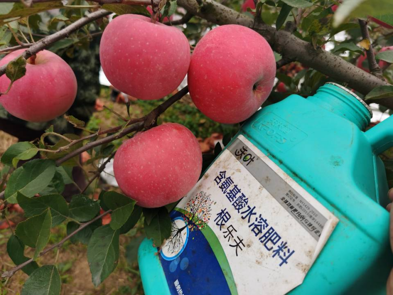 生根劑哪個(gè)牌子好？