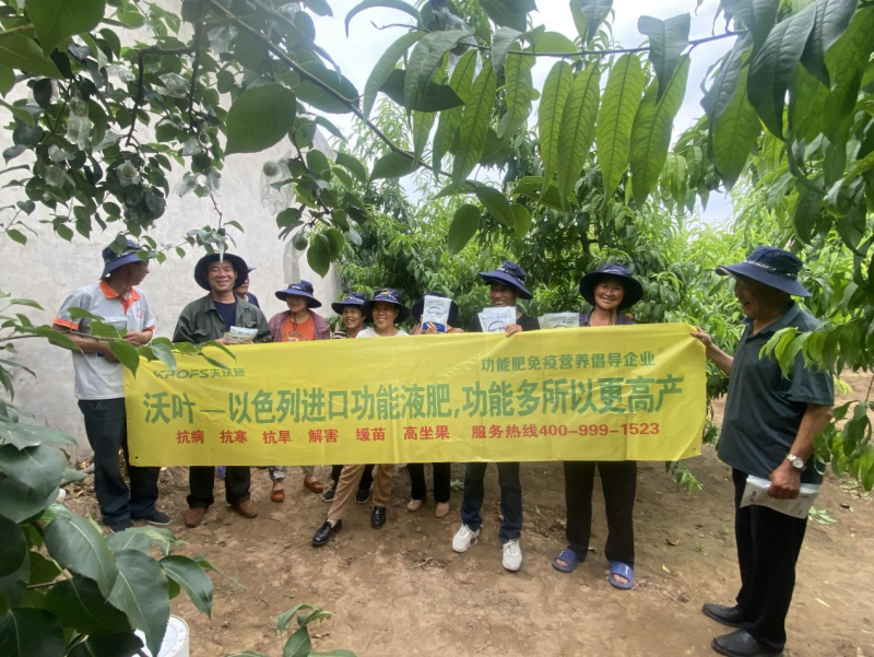 改善土壤用什么肥料-夫沃施功能肥觀摩會(huì).png