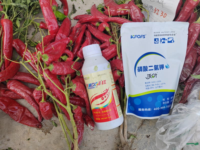 磷酸二氫鉀是葉面肥嗎-沃葉磷酸二氫鉀1.png