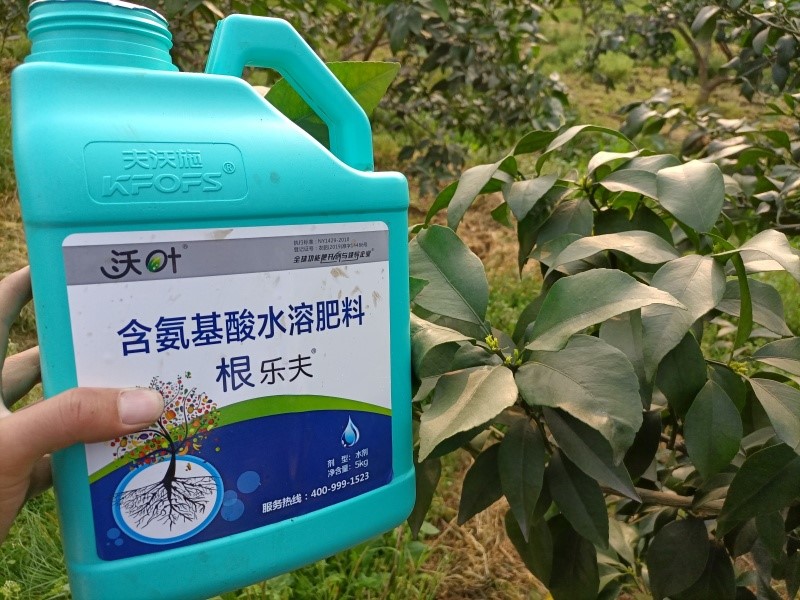 柑橘施肥用什么-沃葉根樂夫.jpg