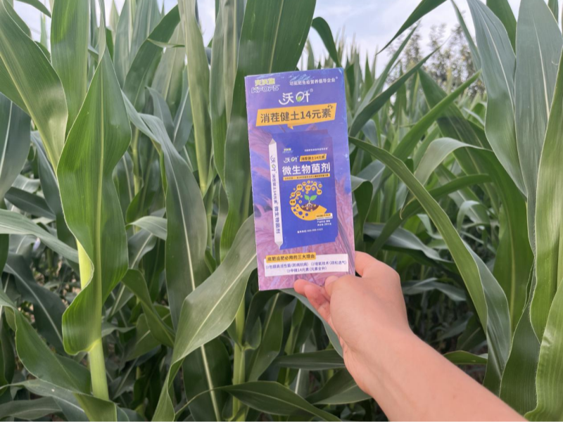 微生物菌劑-玉米用沃葉消茬健土14元素效果.png